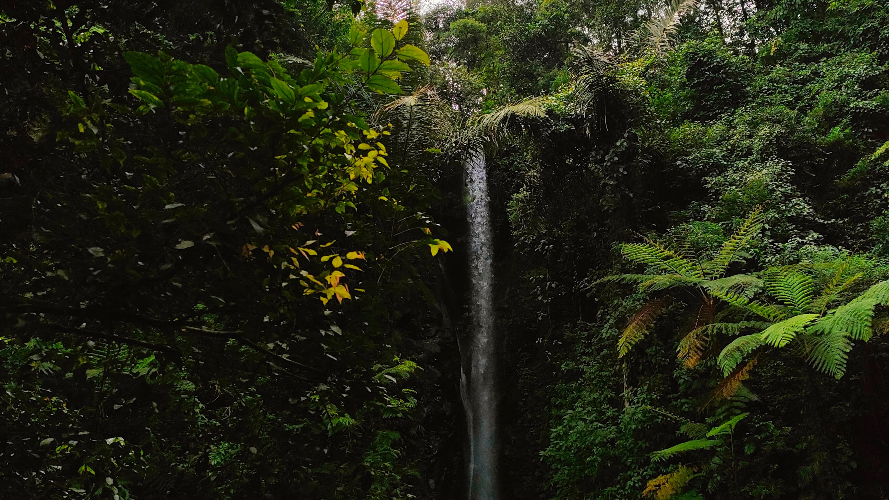 Kegiatan Karang Taruna