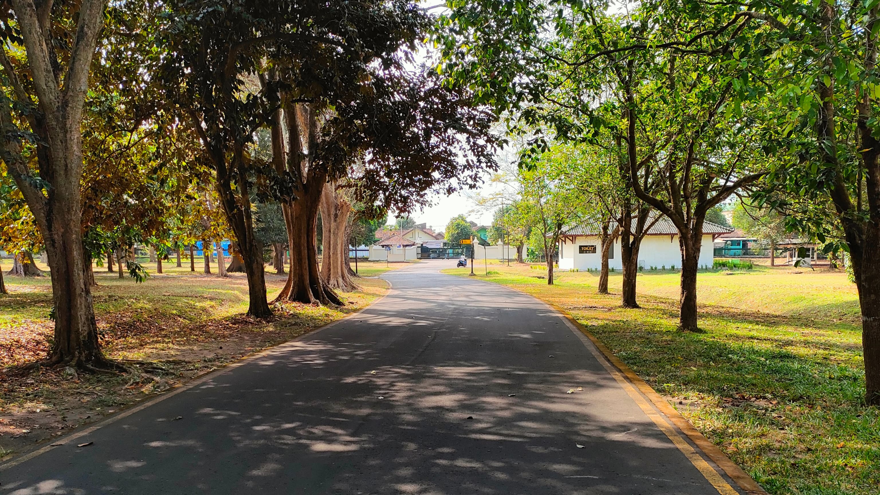 Kegiatan Karang Taruna